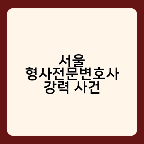 서울 형사전문변호사 강력 사건